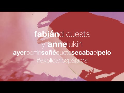 Fabián D. Cuesta con Anne Lukin - Ayer por fin soñé que te secaba el pelo - #Explicarlospájaros