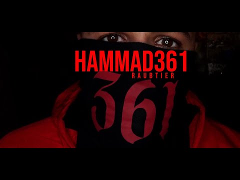 HAMMAD361 x Raubtier (prod. by Isy Beatz)