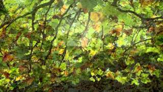 Autumn Leaves: The Bill Evans trio 1959