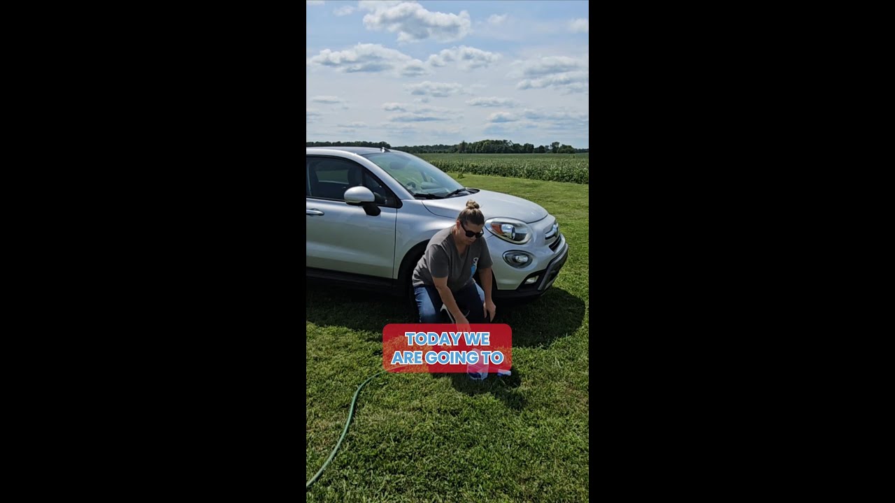 ProTool Shine Up Soap 1/2 gal