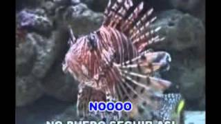 CORAZON DE PIEDRA KARAOKE