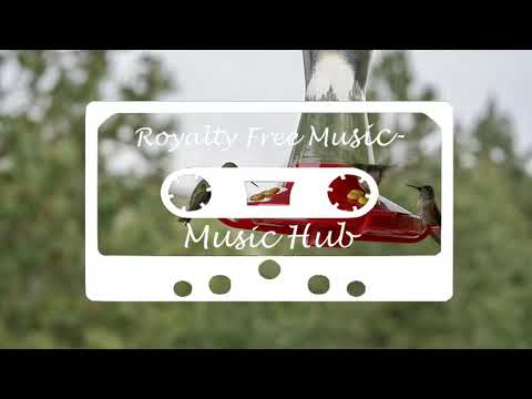 Royalty Free Music | Music Hub | Foresight