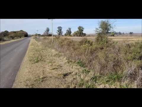 29 HAS EN ANTELO - DEPARTAMENTO VICTORIA - ENTRE RIOS