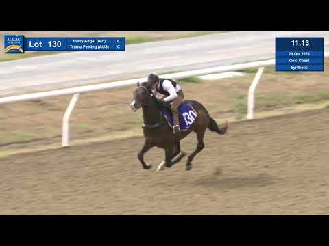 2023 Gold Coast 2YOs in Training Sale Lot - 130