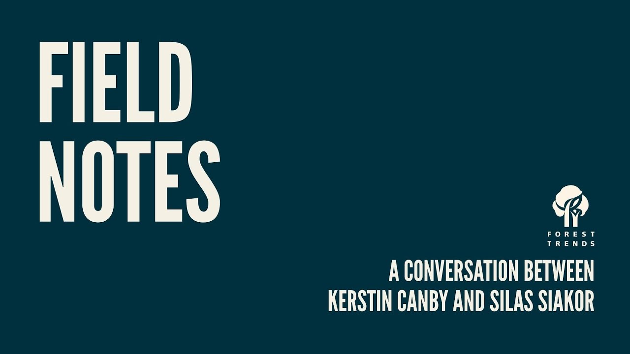 Field Notes: A Conversation Between Kerstin Canby and Silas Siakor