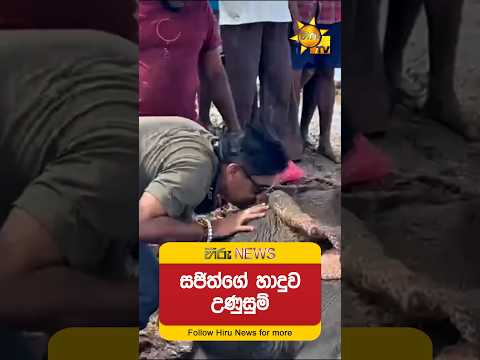 සජිත්ගේ හාදුව උණුසුම් - Hiru News