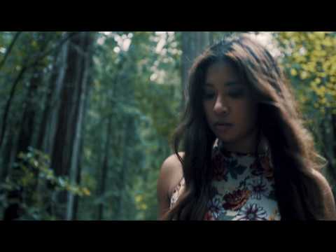Manzanita Falls - Between The Stories (Official Music Video)