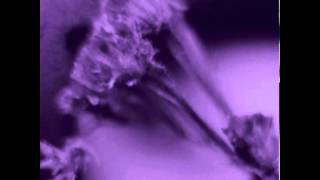 Name Taken - 02 For Sunday