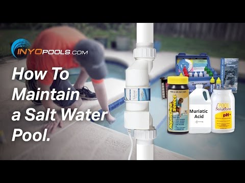 image-What chemicals do you need for a saltwater pool?