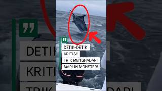 Download lagu 40 Minutes of Fierce Duel with Sea Monster!! 🎣💪 #fishing #marlin #strike #viral #shorts mp3 Download lagu 40 Minutes of Fierce Duel with Sea Monster!! 🎣💪 #fishing #marlin #strike #viral #shorts mp3