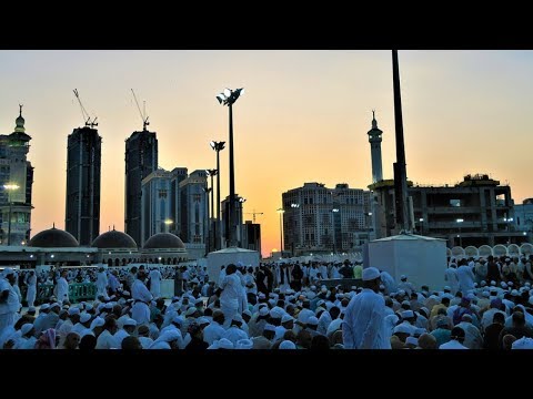 GDJE SU RADNICI ZA ISLAM? || mr. hfz. Adnan Mrkonjić