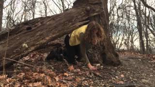 Kyle Forester "Didn't Try to Run Away" (Official Music Video)