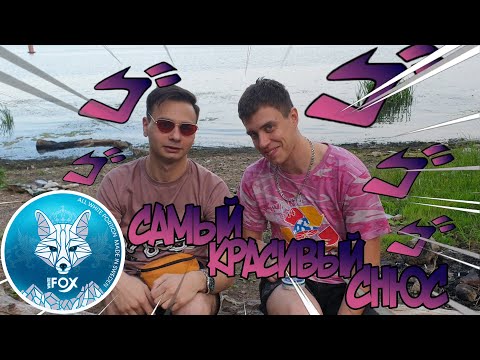 WHITE FOX ТАК ЛИ ХОРОШ НА САМОМ ДЕЛЕ | ОБЗОР СНЮСА WHITE FOX 2019