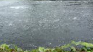 preview picture of video 'River Moy, Ridge Pool Ballina County Mayo'