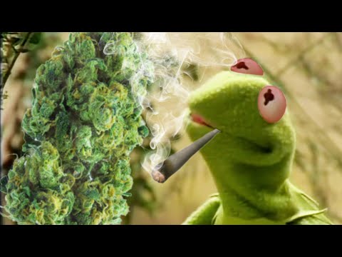 Kermit The Frog's 420 Song: It's Real Easy Smoking Green