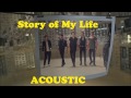 One Direction - Story of My Life ACOUSTIC 
