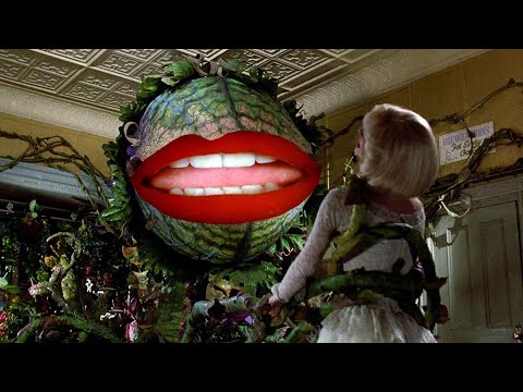 Little Shop of Rocky Horrors Picture Show