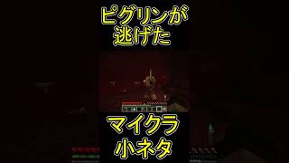 ピグリンにあるアイテムを見せると逃げるらしい　【マイクラ/マインクラフト】 #shorts
