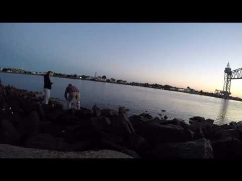 Another 20 pound striped bass 7/10/17