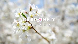 Eklo - Blue (feat. JordinLaine) | 1 Hour Version