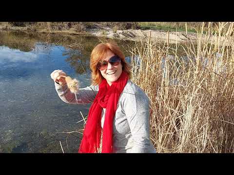 Águas límpidas da ribeira de Angueira.