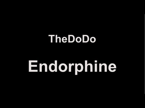 TheDoDo - Endorphine (lyrics)