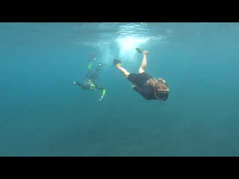 Deep Sea Snorkeling - Galapagos - Vincent Roca Point - Isabela Island