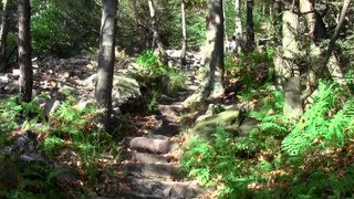 preview picture of video 'Hiking the 1000 steps near Mount Union, PA'