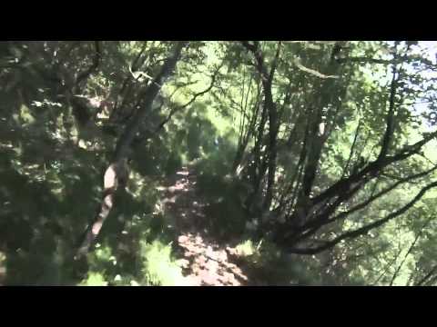 Downhill Garniga Vecchia - Romagnano (Trentino)