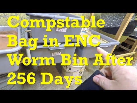 Euro nightcrawler worms with compostable bag in bin #1 - vermicompost