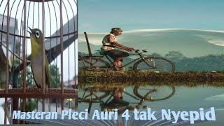 Download lagu Masteran Pleci Auri 4 tak Nyepid Rugi Klo Gak Dimasterin Pake Ini mp3 Download lagu Masteran Pleci Auri 4 tak Nyepid Rugi Klo Gak Dimasterin Pake Ini mp3