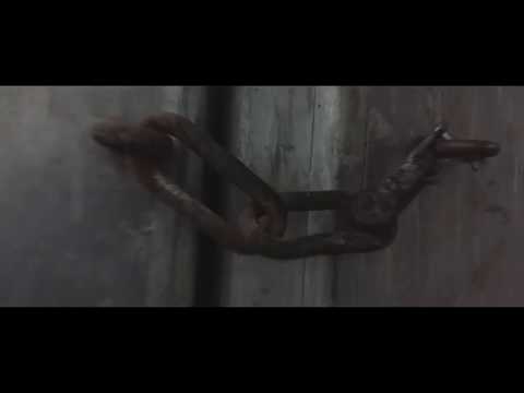 TrzyBe/hapkomahka - Instynkt - [Video]