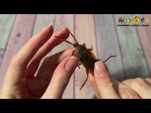 Набор игрушечных тараканов - видео