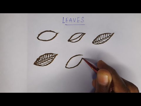 Leaf Mehndi Design For Beginners | Easy Step By Step Leaf Design | Mehndi Class | Learn With Shaima