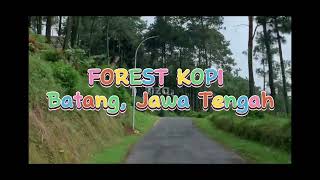 Download lagu Perjalanan ke Forest Kopi - Batang, Jawa Tengah mp3 Download lagu Perjalanan ke Forest Kopi - Batang, Jawa Tengah mp3