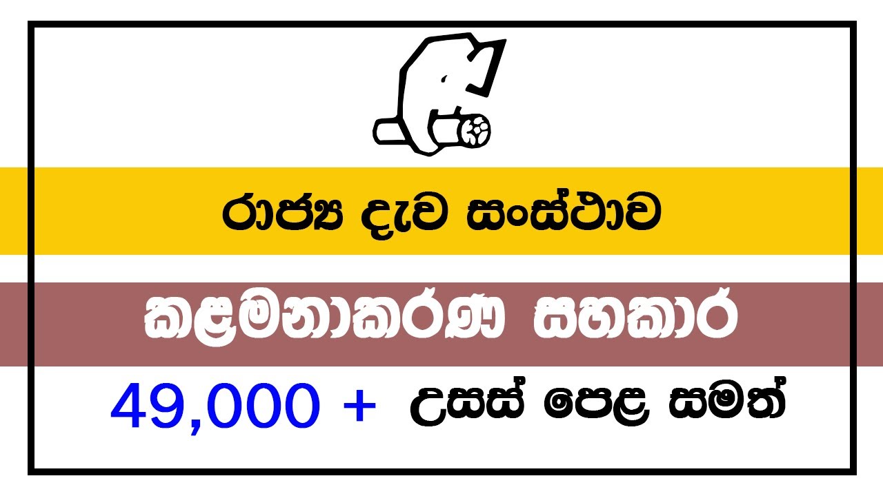 Management Assistant | State Timber Corporation