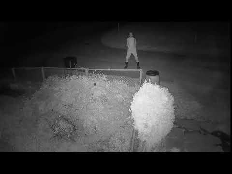 2020 04 23   Fear the Coronavirus