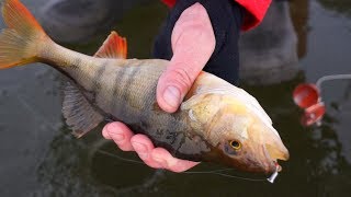 Лов рыбы зимой на мормышку