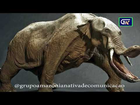 Primeiros habitantes pre historico da Amazônia