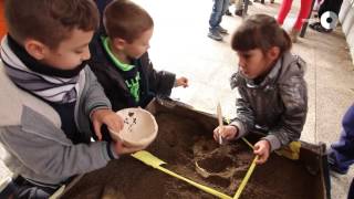 Projecte Magnet: Escola Samuntada i Institut Català de Paleontologia