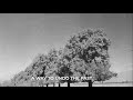 The Parson Red Heads - All I Wanted (Lyric Video)