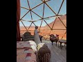 Aicha Luxury Camp Jordan