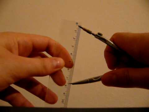 Ziua Masurarii Testoaselor - metoda de masurare II