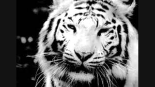 BRIAN HOLLAND.......LET'S GET TOGETHER ( COME TOGETHER...wmv