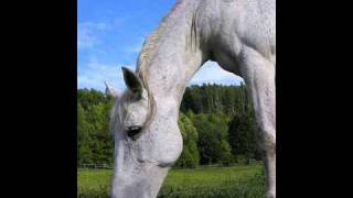 Weiße Pferde Music Video