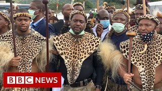 New Zulu king crowned in South Africa despite family feud - BBC News
