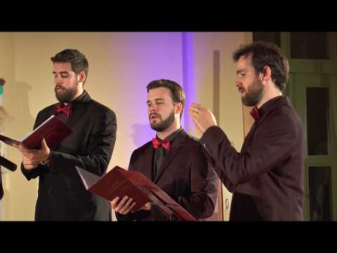 Vokalni sastav "Sion" - Tebe pojem (Pavel Česnokov)