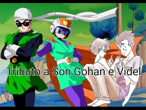 TRIBUTO A GOHAN E VIDEL