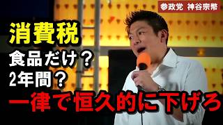 【消費税は一律で下げろ】神谷宗幣が野党にも喝「バラバラでは与党は止められない」