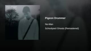 Pigeon Drummer